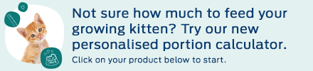 Not sure how much to feed your growing kitten? Try our new personalised portion calculator