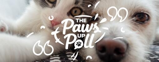 Purina’s Paws Up Poll