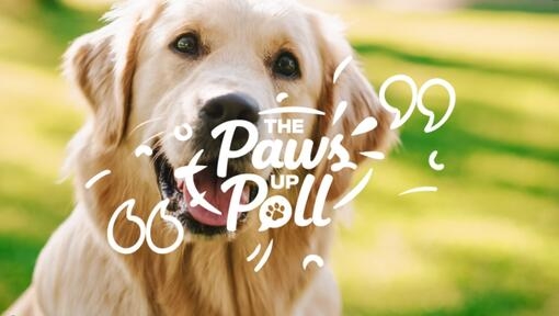 Purina’s Paws Up Poll