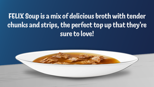 Felix Soup is a mix of delicious broth with tender chunks and strips