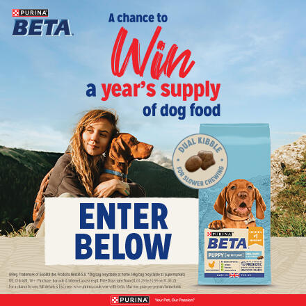 Beta win a year's supply of dog food